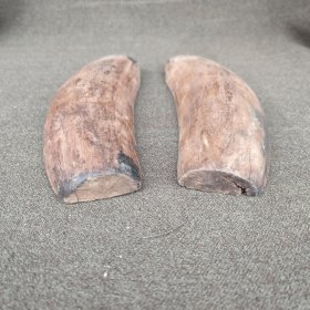 晚清民国左木卜卦板一对