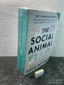 The Social Animal：A Story of How Success Happens