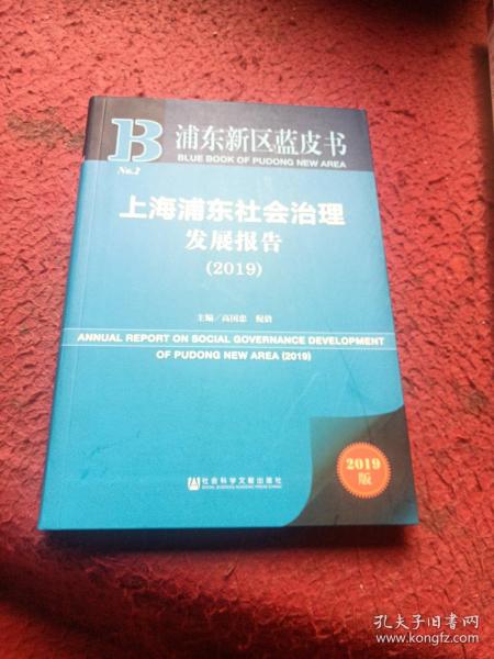 浦东新区蓝皮书：上海浦东社会治理发展报告（2019）