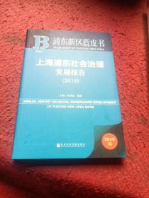 浦东新区蓝皮书：上海浦东社会治理发展报告（2019）