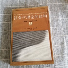 社会学理论的结构 理代社会学比较研究丛书