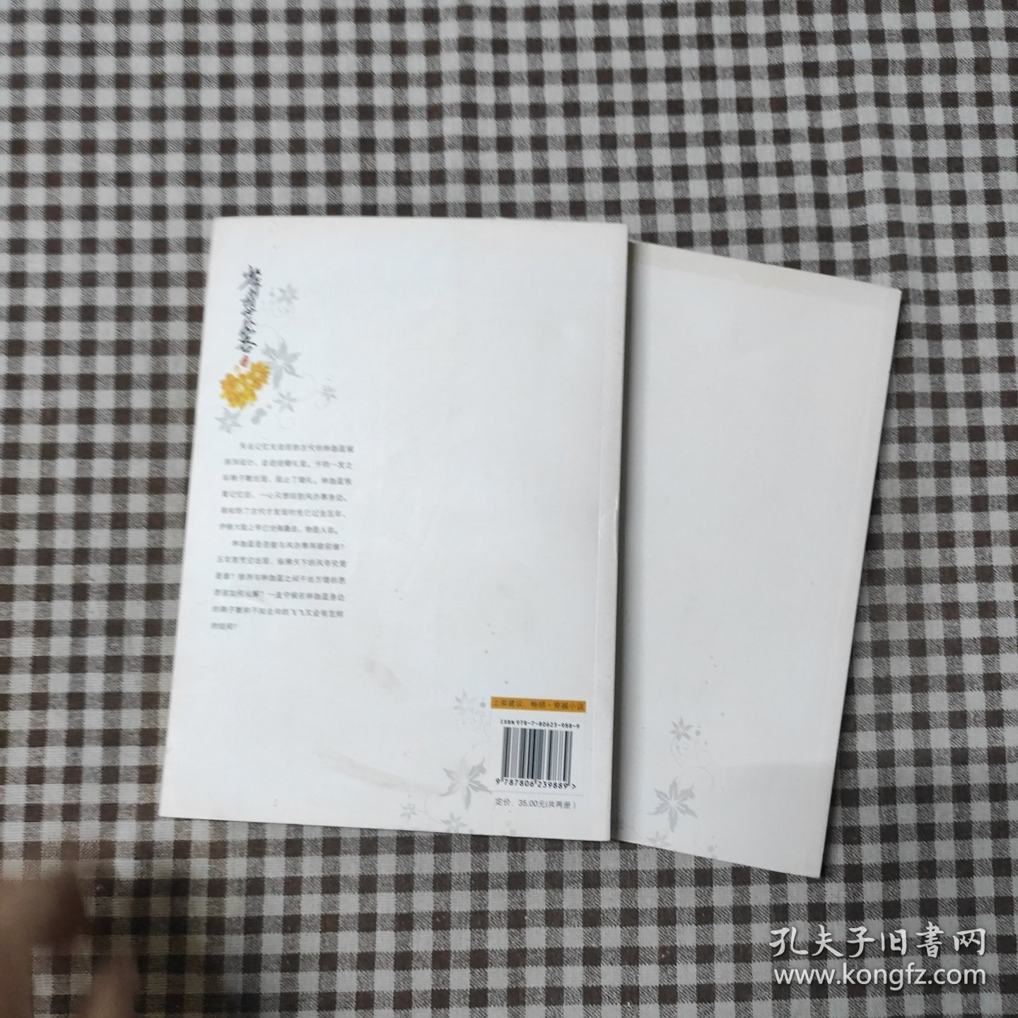 少年丞相世外客（中+下）