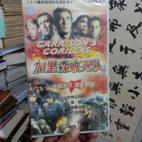 VCD：加里森敢死队 中国引进的第一部制作精良的西片连续剧 （26碟全）