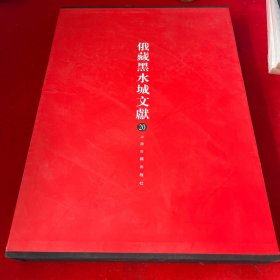俄藏黑水城文献20：西夏文佛教部分