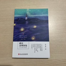 踏在真理深处/浙江少年文学新星丛书