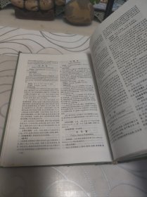 新编中越常用手册