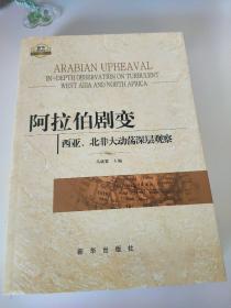 阿拉伯剧变：西亚、北非大动荡深层观察
