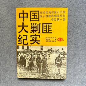 中国大剿匪纪实