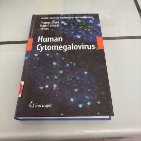 Human Cytomegalovirus