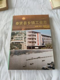 上海市奉贤县乡镇工业志