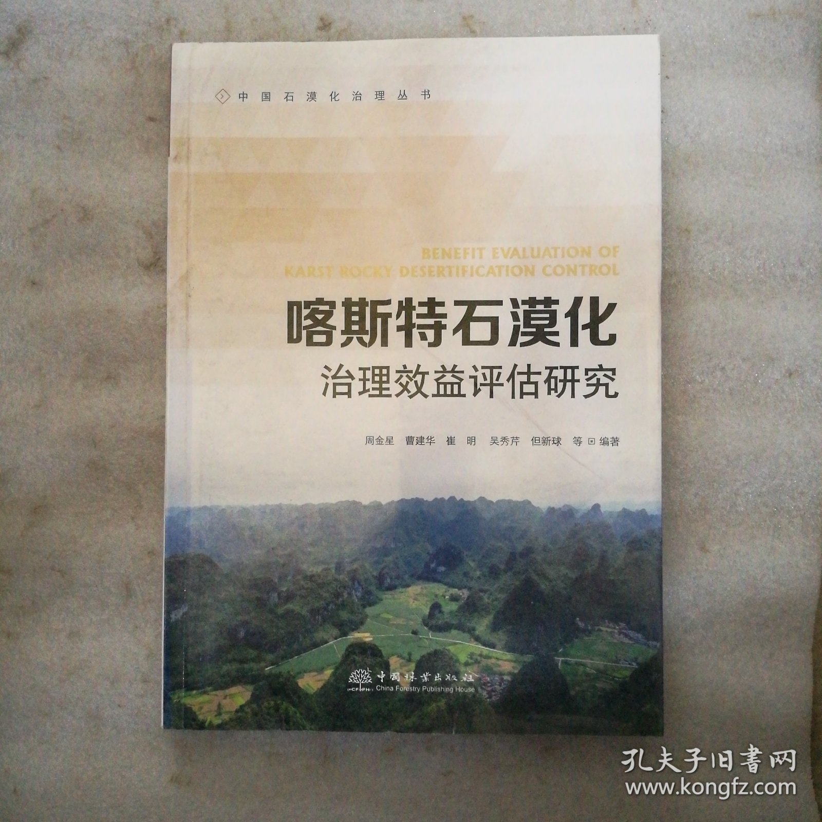 喀斯特石漠化治理效益评估研究/中国石漠化治理丛书
