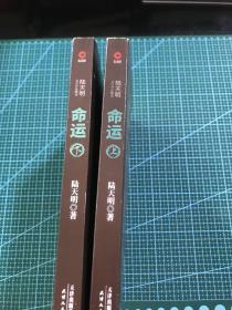 陆天明当代作品精选：命运（套装全2册）