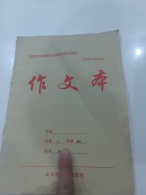 八年级作文本（手写作文6篇带老师点评）