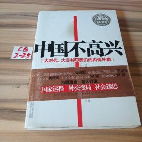 中国不高兴：大时代大目标及我们的内忧外患