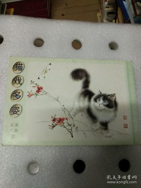 猫戏多姿 明信片 10张