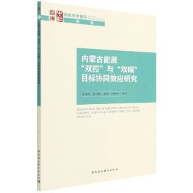 内蒙古能源“双控”与“双碳”目标协同效应研究