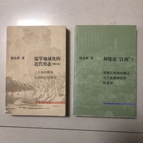 （杨念群力作两册合售）儒学地域化的近代形态：三大知识群体互动的比较研究、何处是江南？清朝正统观的确立与士林精神世界的变异（合售）