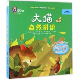 大猫自然拼读四级2 Big Cat Phonics(适合小学四年级 读物5册+阅读指导1册+拼读卡片1套+MP3光盘1张 点读版)