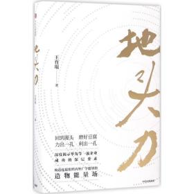 地头力 管理实务 王育琨 新华正版