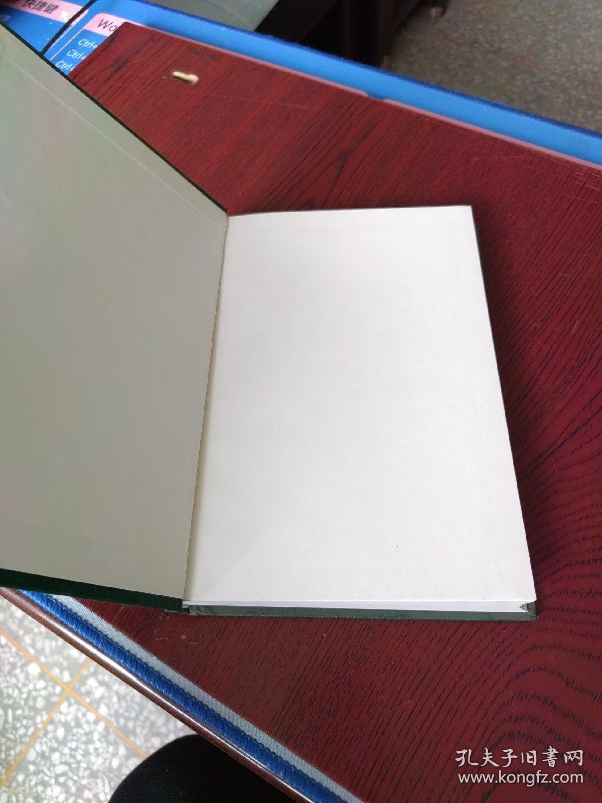 中国小城镇发展论