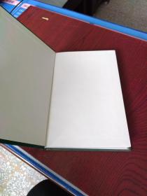 中国小城镇发展论