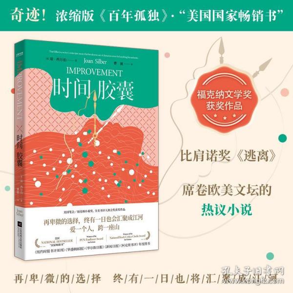 时间胶囊（美国国家畅销书，福克纳小说奖获奖作品，作者被誉为美国的“艾丽丝·门罗”）