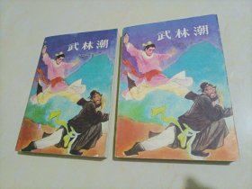 东方英武侠小说：武林潮（上下）【外封皮脱胶】