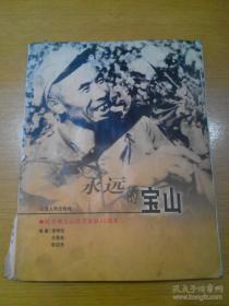 永遠(yuǎn)的寶山