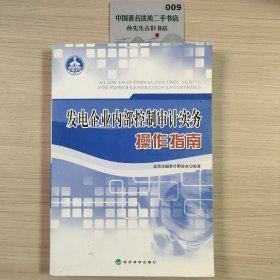 发电企业内部控制审计实务操作指南