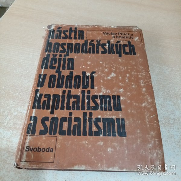 Nástin hospodářských dějin v období kapitalismu a socialismu（捷克语）