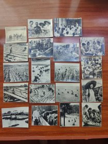 五六十年代 鱼米之乡 农业养殖业题材宣传照片一组共19张合销(品相好)