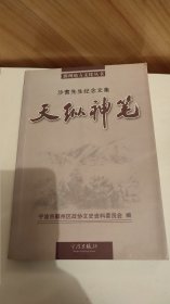 天纵神笔：沙耆先生纪念文集