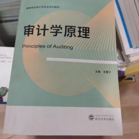 审计学 党夏宁 武汉大学出版社 正版清仓