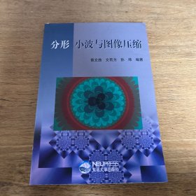 分形 小波与图像压缩