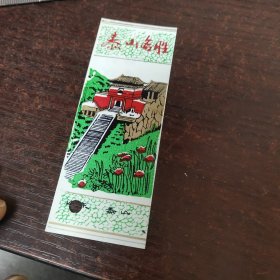 泰山名胜早期塑料门票