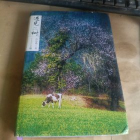 遇见树