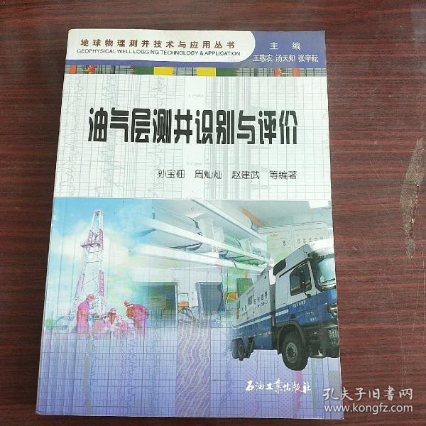 地球物理测井技术与应用丛书：油气层测井识别与评价