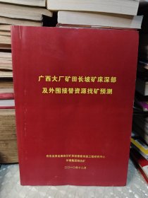 广西大厂矿田长坡矿床深部及外围接替资源找矿预测