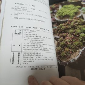 和二木一起玩多肉