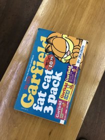 加菲猫原版THE SIXTH Garfield fat cat 3 pack