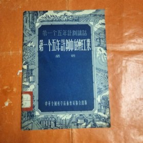 第一个五年计划中的轻工业