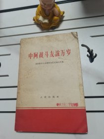 中阿战斗友谊万岁