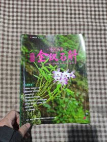 中华仙草-赤水金钗石斛