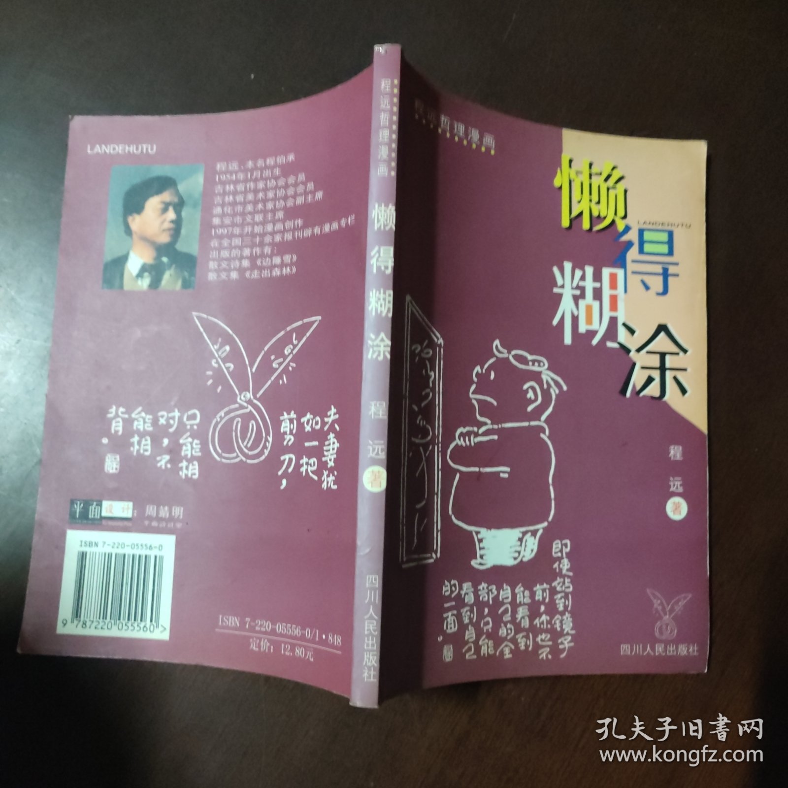 懒得糊涂:程远哲理漫画