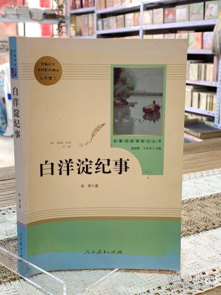 白洋淀纪事 名著阅读课程化丛书（统编语文教材配套阅读）七年级上