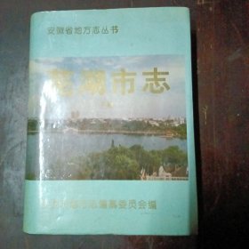 芜湖市志（下）