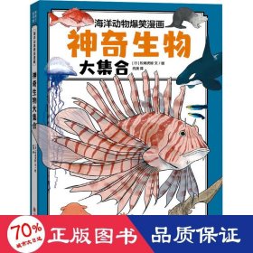 神奇生物大集合（海洋里的庞然大物都有谁？鲸类也有“左撇子”和“右撇子”？海洋科普系列）