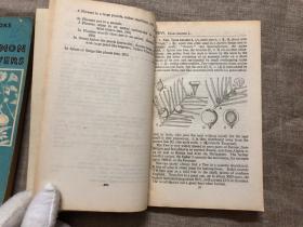 Common Wild Flowers & More Common Wild Flowers (Pelican Books) 常见野花手册 2册合售 老版鹈鹕丛书【合计有四百多幅手绘插图。英文版】留意品相描述