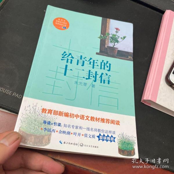 给青年的十二封信/教育部新编语文教材推荐阅读书系