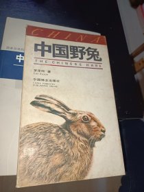 中国野兔
